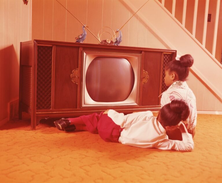 The 2022 Global Analysis of State and Public Media