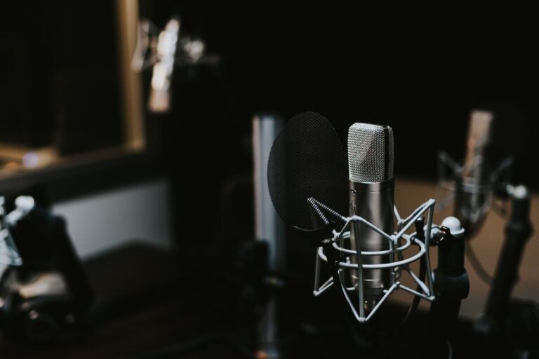 State Media Monitor Cited on ABC Radio